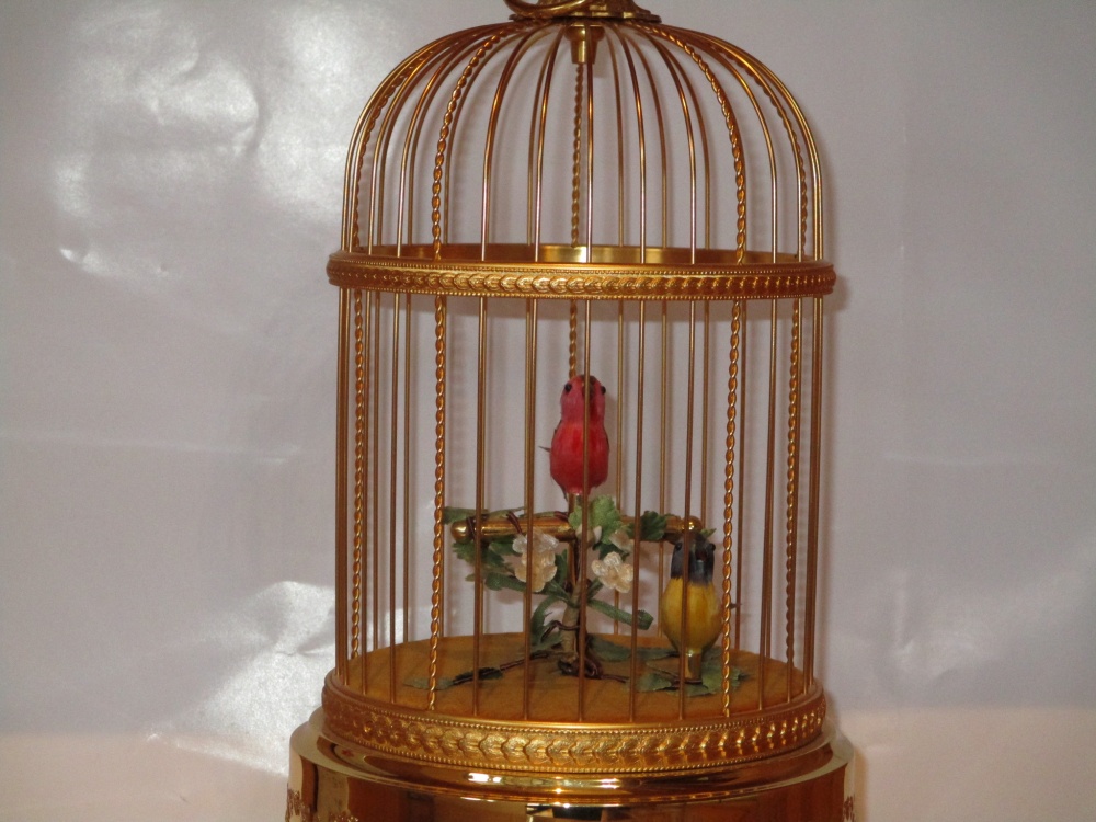 「店内でバードウオッチング( NO1)」関連画像