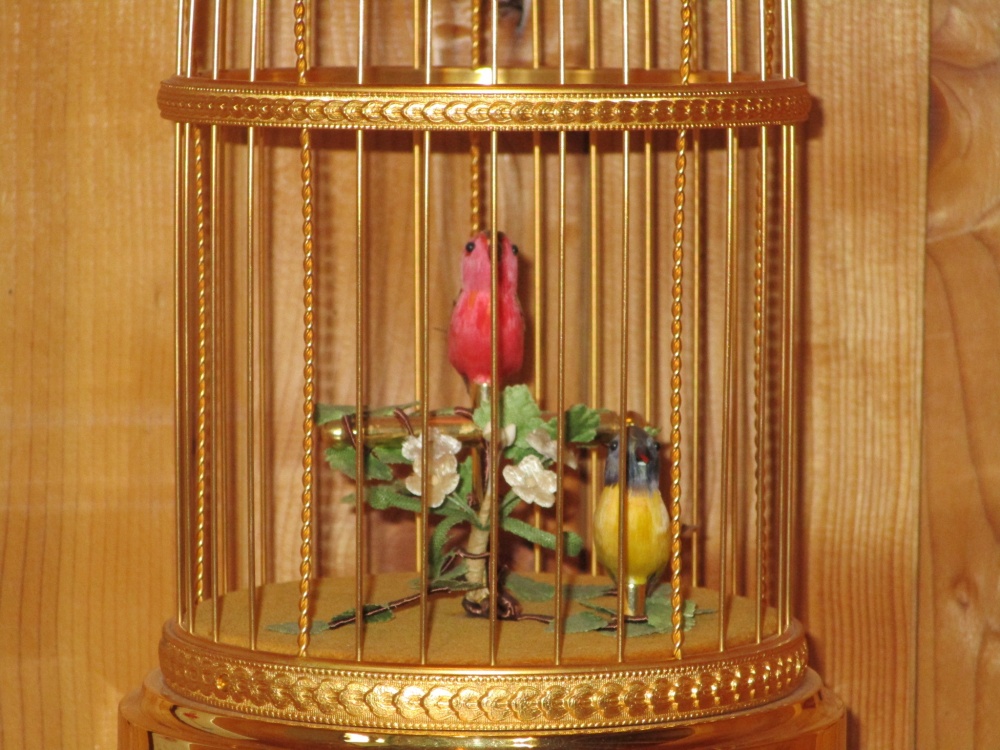 「店内でバードウオッチング( NO1)」関連画像