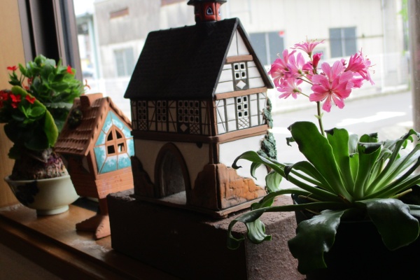 季節の花を飾りました。    ご覧になってください。    令和7年6月