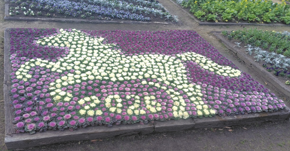 「本年の干支　”　馬　”　紹介」関連画像